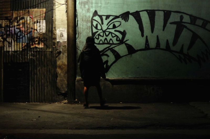 Image is from the film 'Tigers Are Not Afraid' (2017). A person wearing a black coat looks at a graffiti drawing of a tiger on a green wall in the middle of the night.