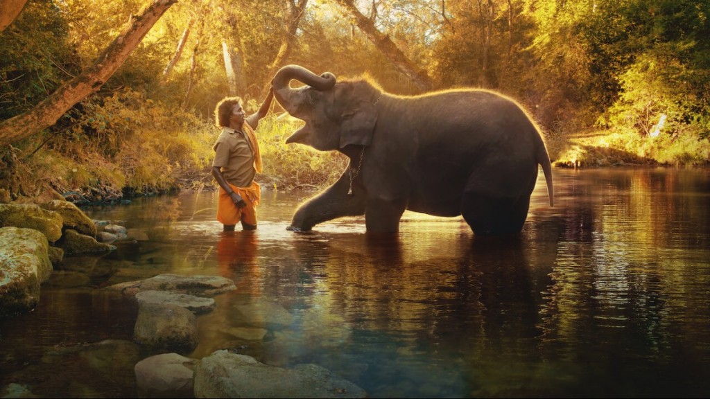 Still from "The Elephant Whisperers" showing one of the caretakers gently caressing the elephant's trunk as the elephant lifts it up towards its own head. They are standing in the water, surrounded by the beautiful wild nature, and the still has a strong golden and warm tint over it, as the sun is setting behind the trees surrounding them.