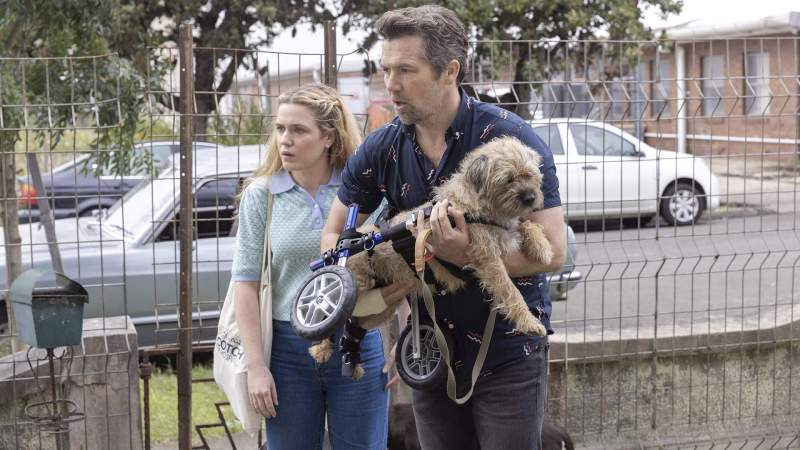 Still showing Ashley, Gordon and the dog standing outside looking confused and concerned towards something outside of the frame. The dog is being carried by Gordon, who also has a bandage on his right hand. He is wearing dark jeans and a blue short-sleeved buttoned shirt with small pattern. Beside him is Ashley, wearing blue jeans and a short-sleeved green/lilac knitted shirt and a tote bag. They are all standing inside someone's property, which is underlined by the fence seen behind them. Cars are parked on the road behind them.